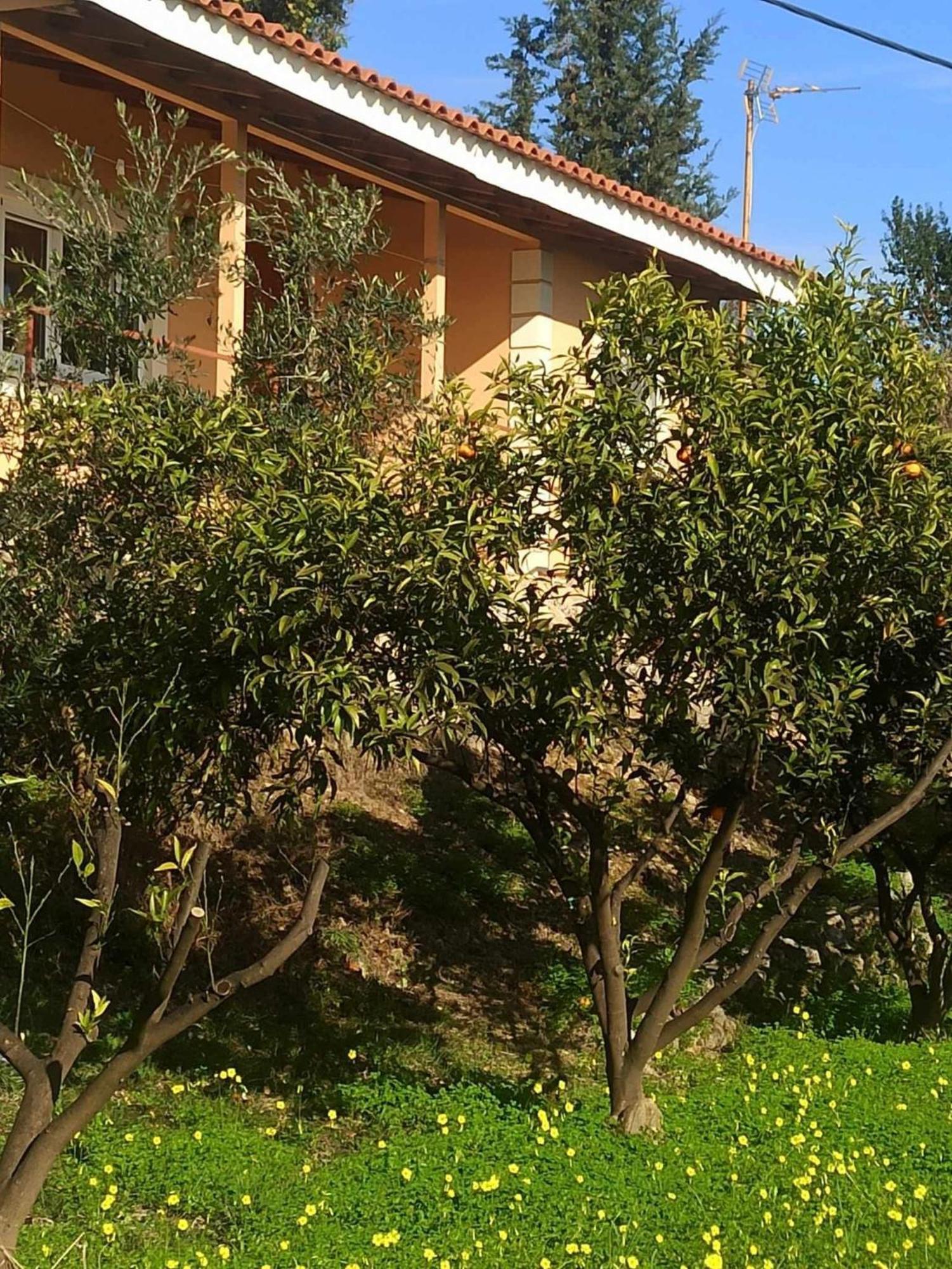 Takis & Eirini Family Apartments Perama Exterior foto